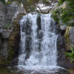 OTRA2014_0832 (August 29, 2014)